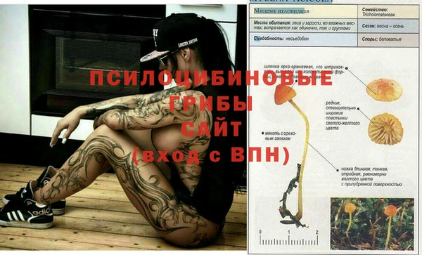 мефедрон Абаза